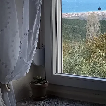 Stamoula' S House